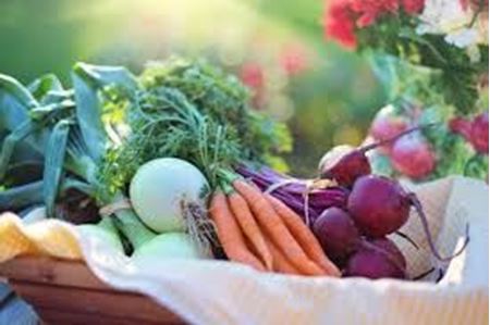 Picture for category Fresh Vegetables, Herbs, & Fruits